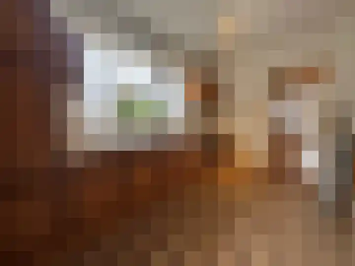 Dorpstraat 50 Dreumel thumbnail 14