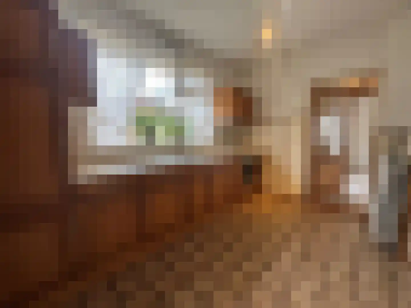 Dorpstraat 50 Dreumel thumbnail 14