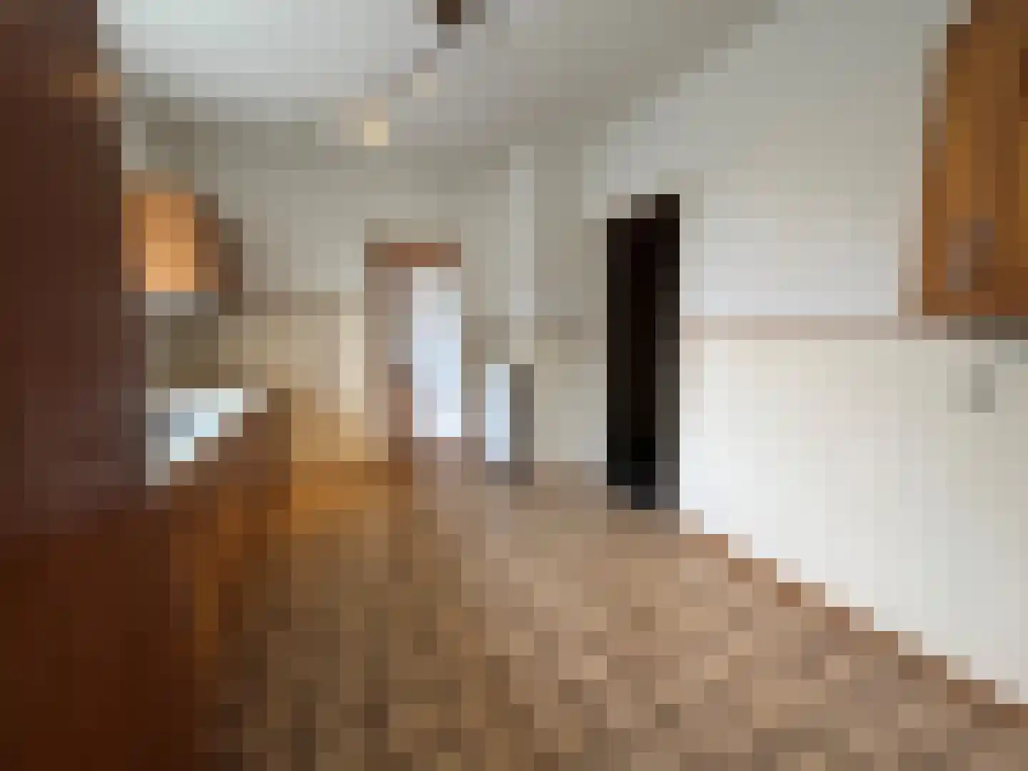 Dorpstraat 50 Dreumel thumbnail 15