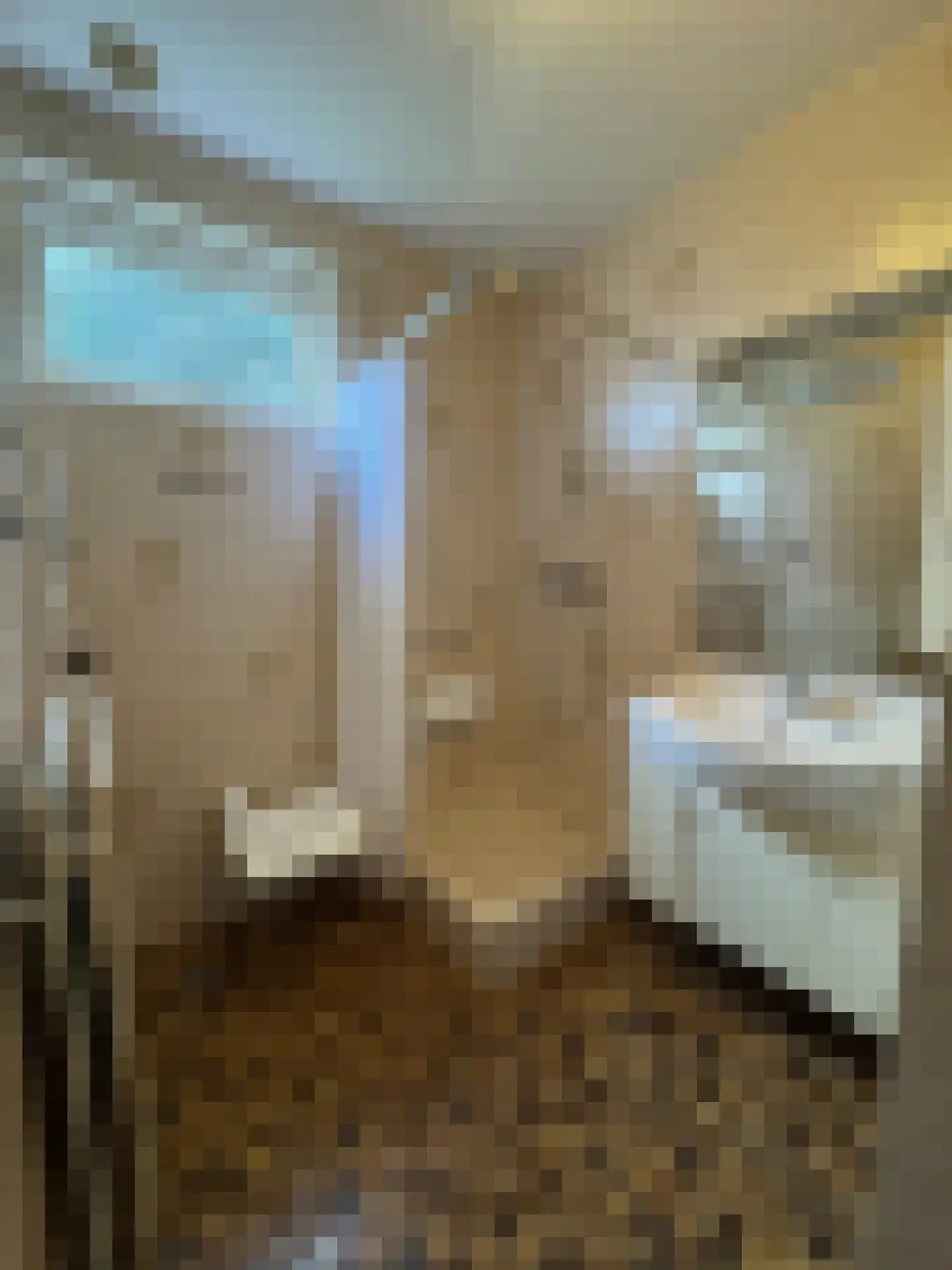 Dorpstraat 50 Dreumel thumbnail 20