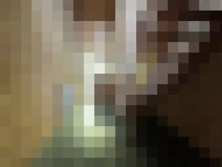 Dorpstraat 50 Dreumel thumbnail 21