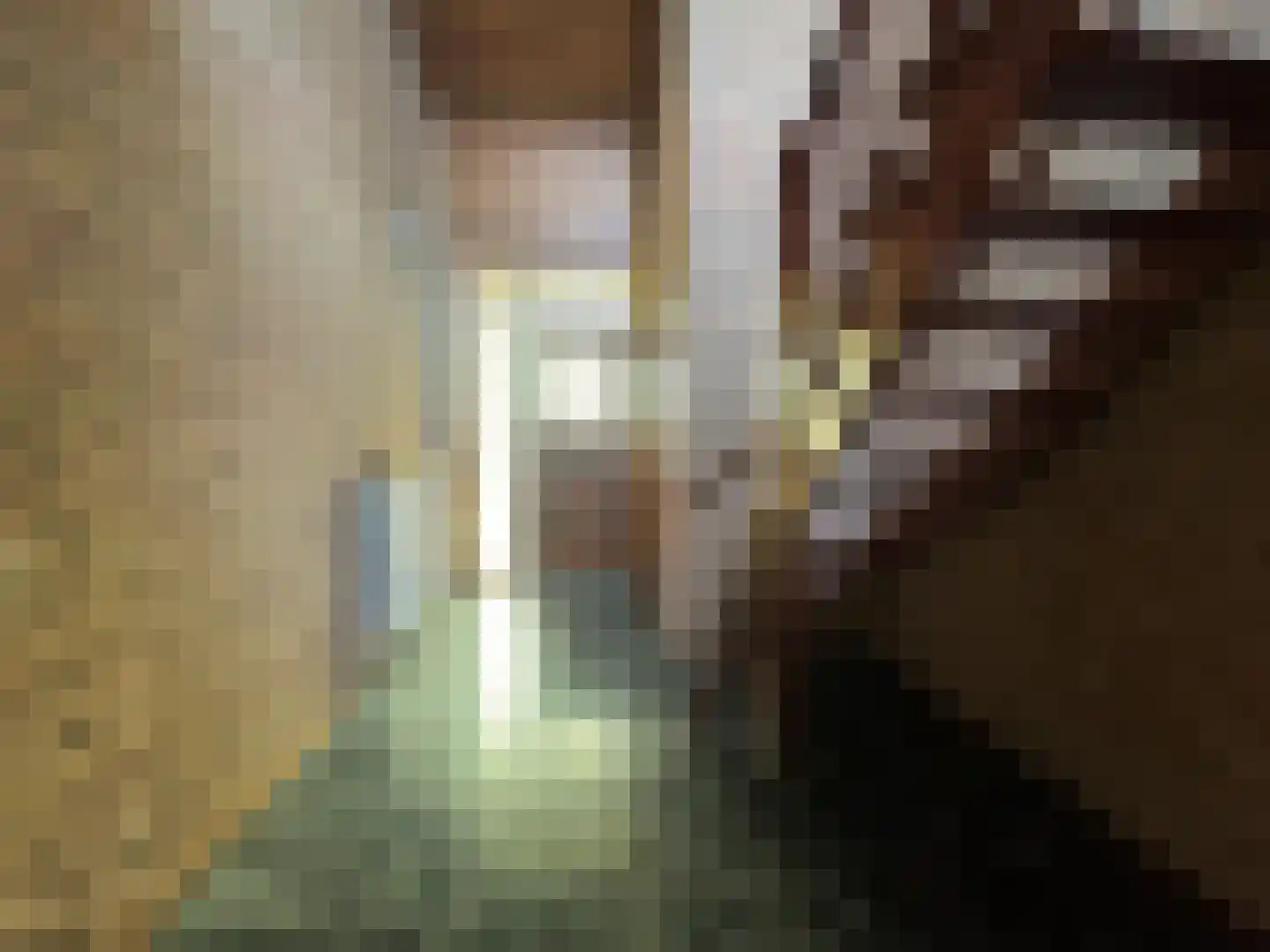 Dorpstraat 50 Dreumel thumbnail 21
