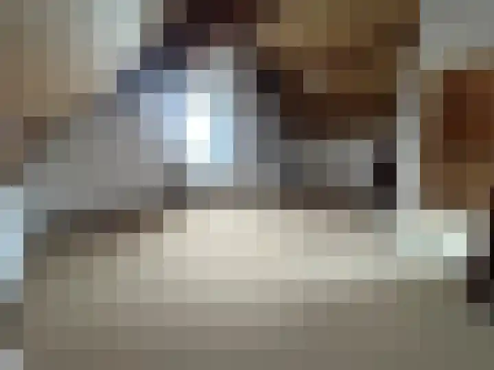 Dorpstraat 50 Dreumel thumbnail 22