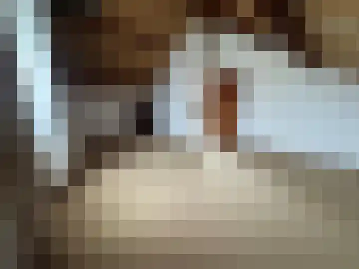 Dorpstraat 50 Dreumel thumbnail 23