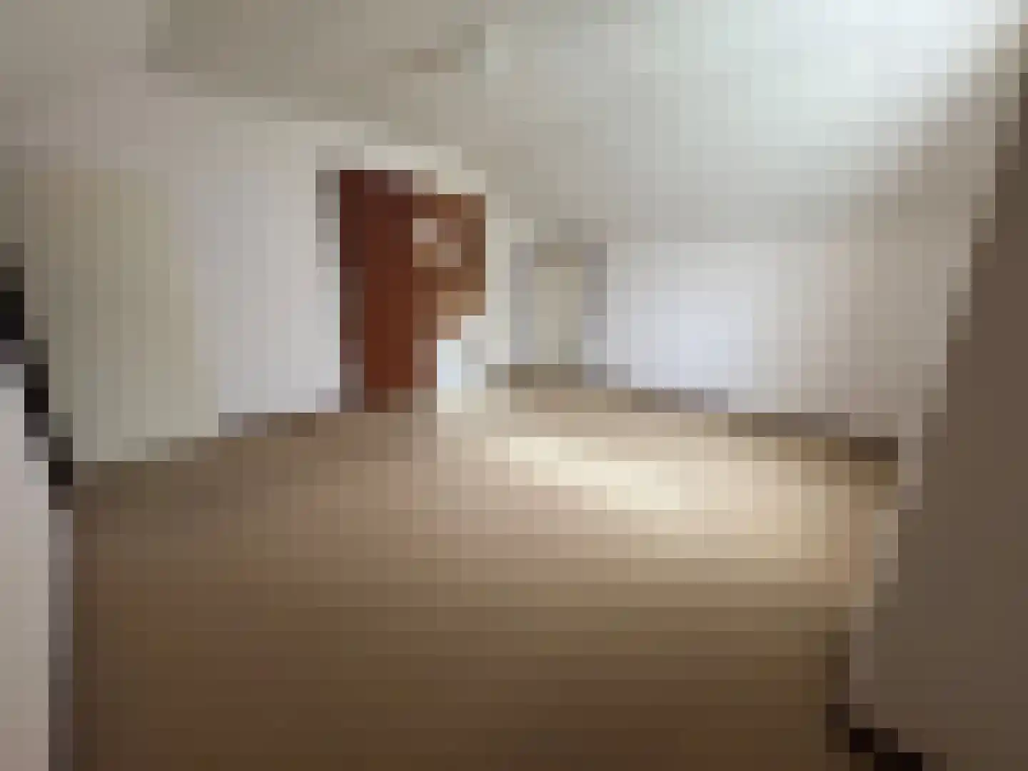 Dorpstraat 50 Dreumel thumbnail 26
