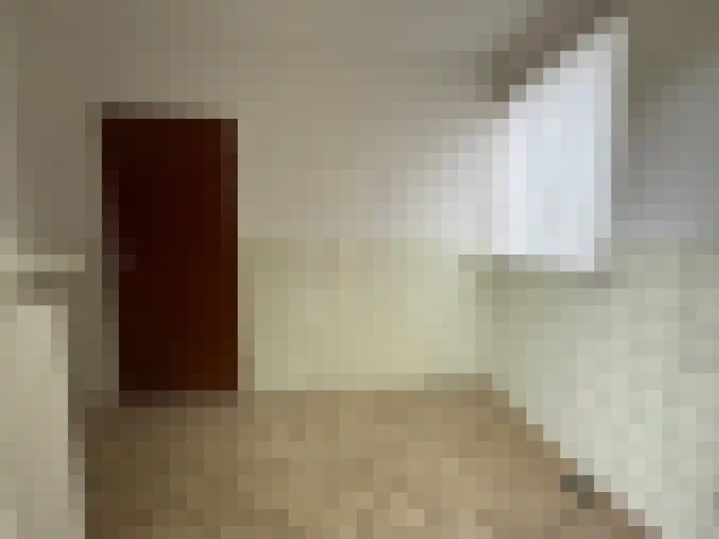 Dorpstraat 50 Dreumel thumbnail 27