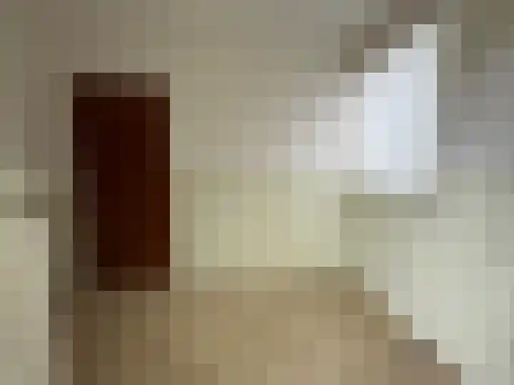 Dorpstraat 50 Dreumel thumbnail 27