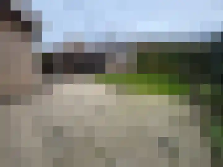 Dorpstraat 50 Dreumel thumbnail 28