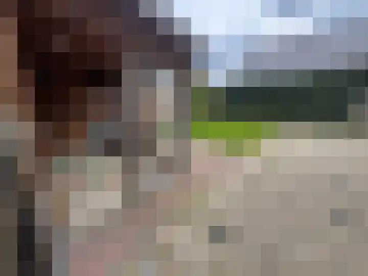 Dorpstraat 50 Dreumel thumbnail 29