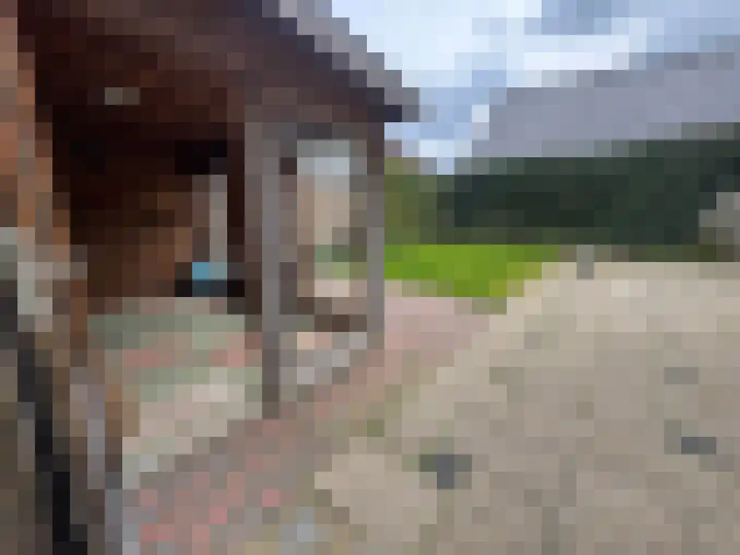 Dorpstraat 50 Dreumel thumbnail 29