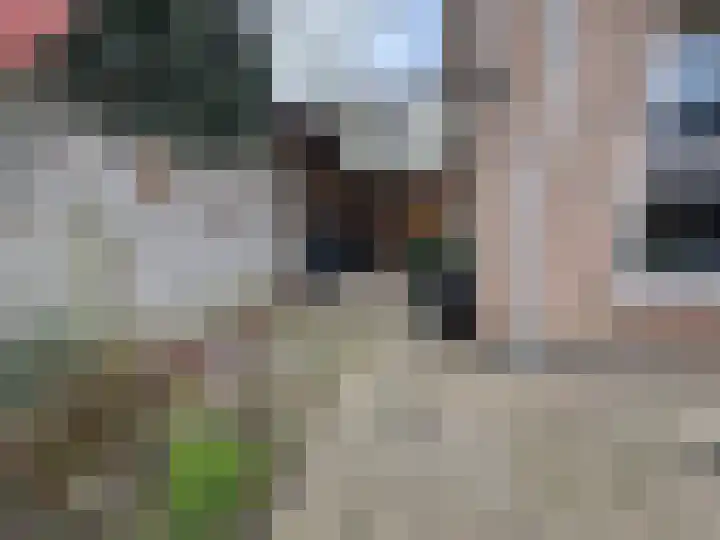 Dorpstraat 50 Dreumel thumbnail 30