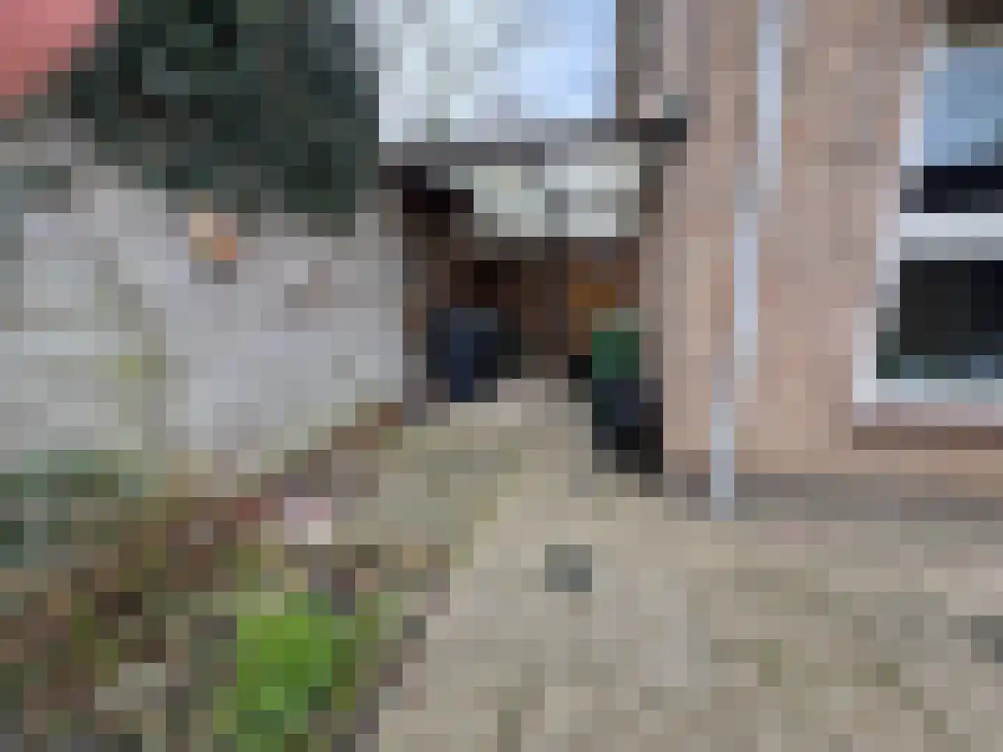 Dorpstraat 50 Dreumel thumbnail 30