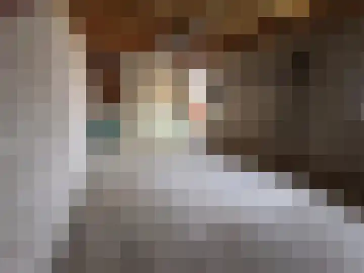 Dorpstraat 50 Dreumel thumbnail 32