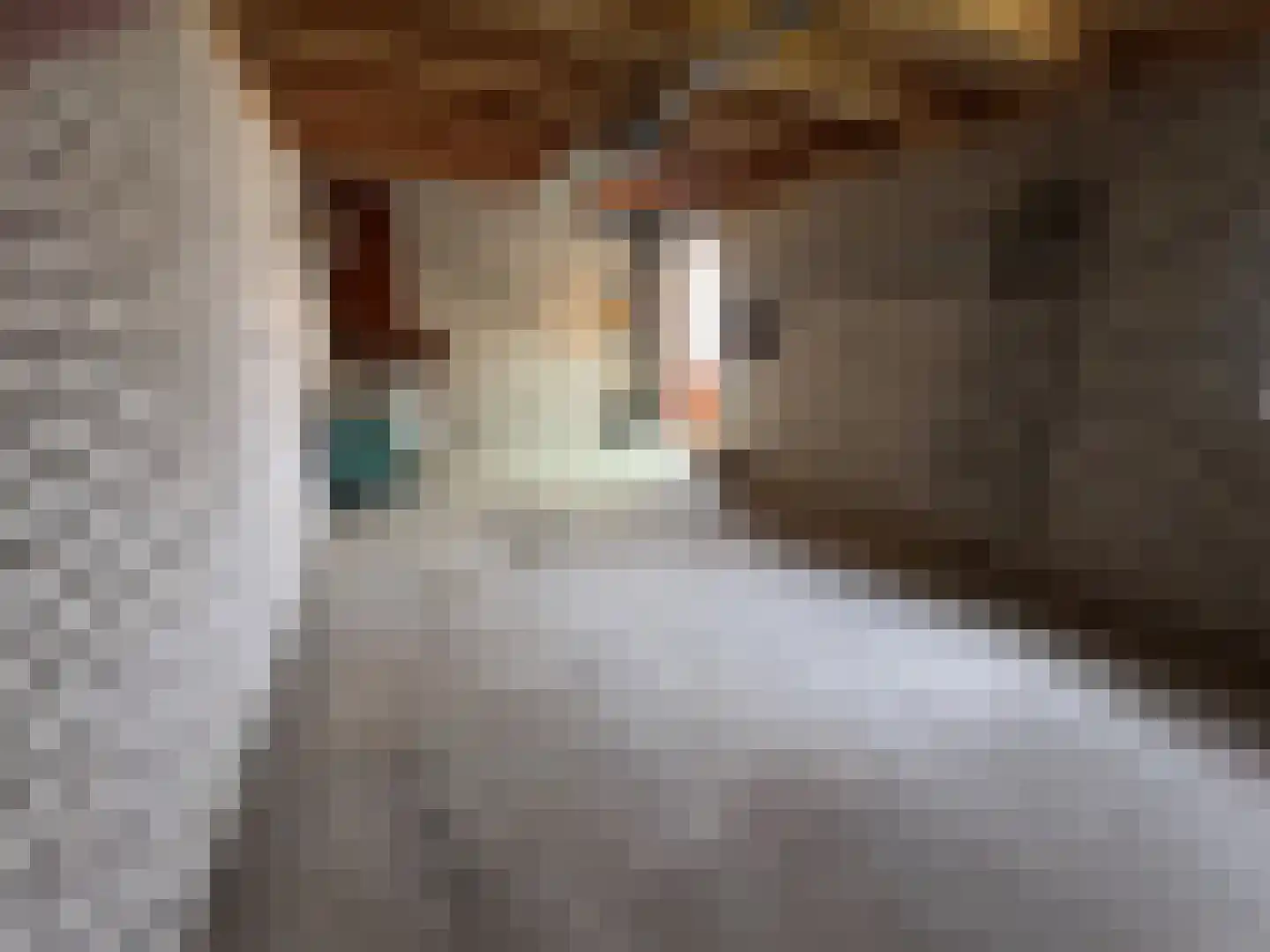 Dorpstraat 50 Dreumel thumbnail 32