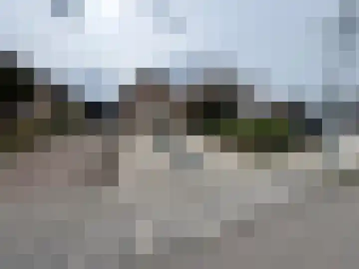 Dorpstraat 50 Dreumel thumbnail 7