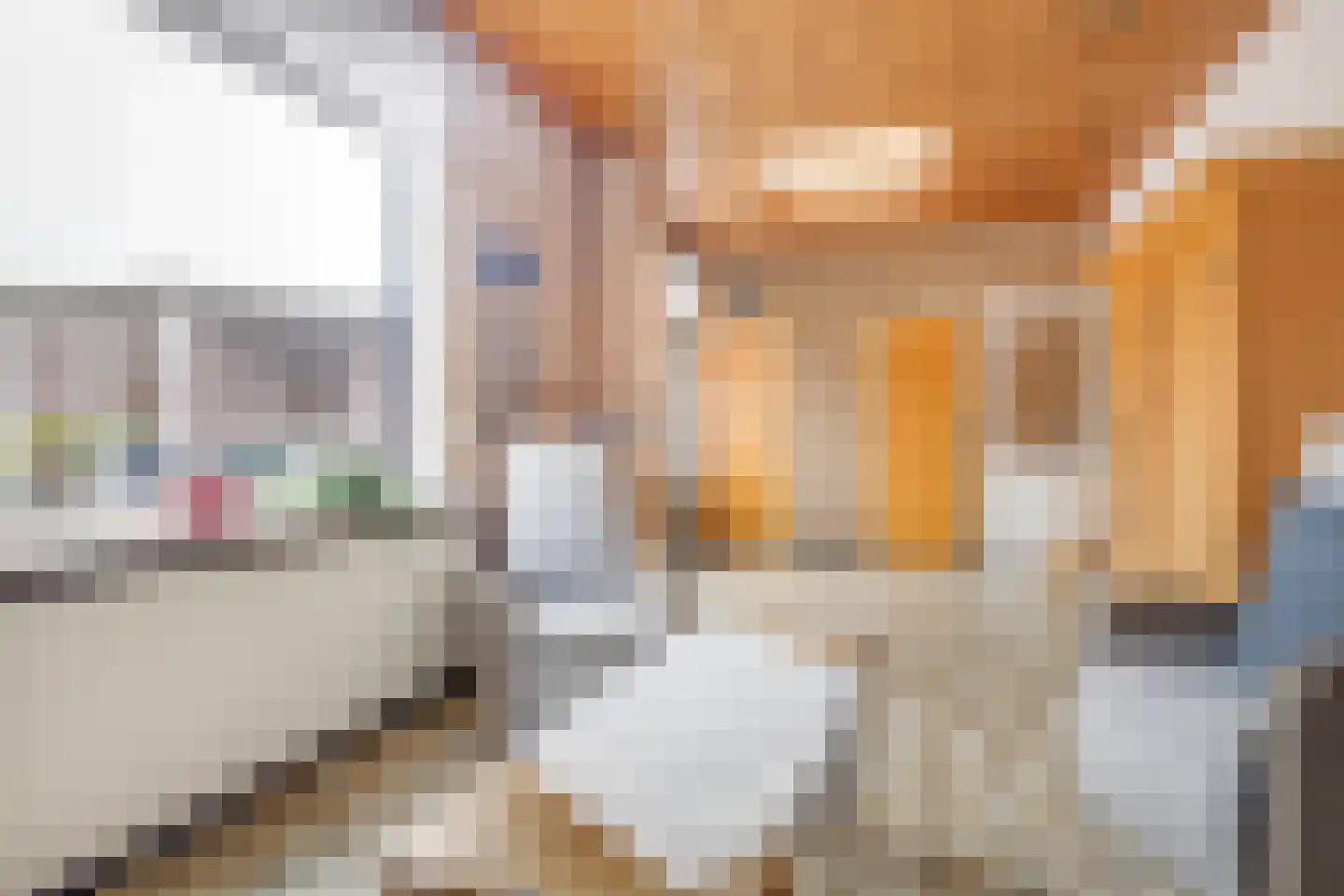 Dorpstraat 51 Buchten thumbnail 14