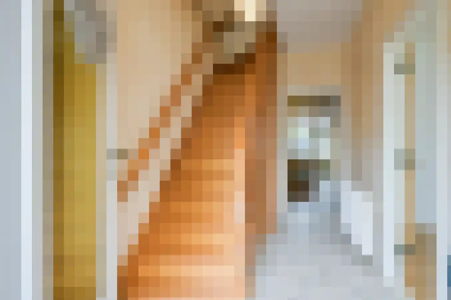 Dorpstraat 51 Buchten thumbnail 16