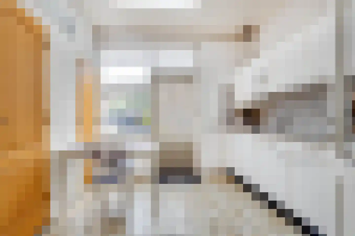 Dorpstraat 51 Buchten thumbnail 19