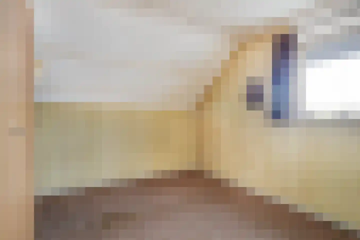Dorpstraat 51 Buchten thumbnail 25