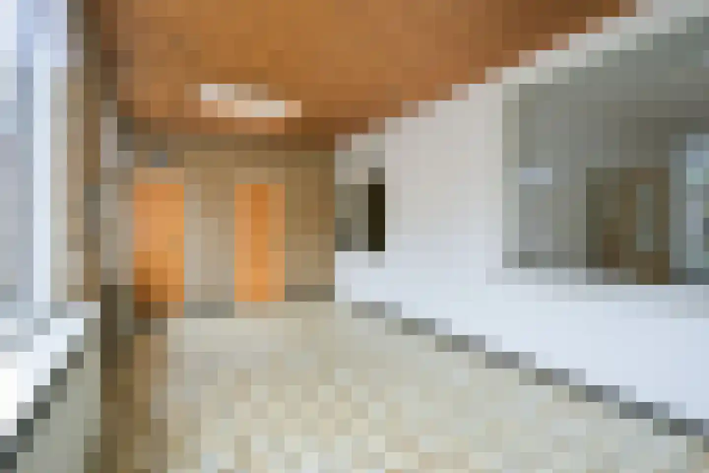 Dorpstraat 51 Buchten thumbnail 26
