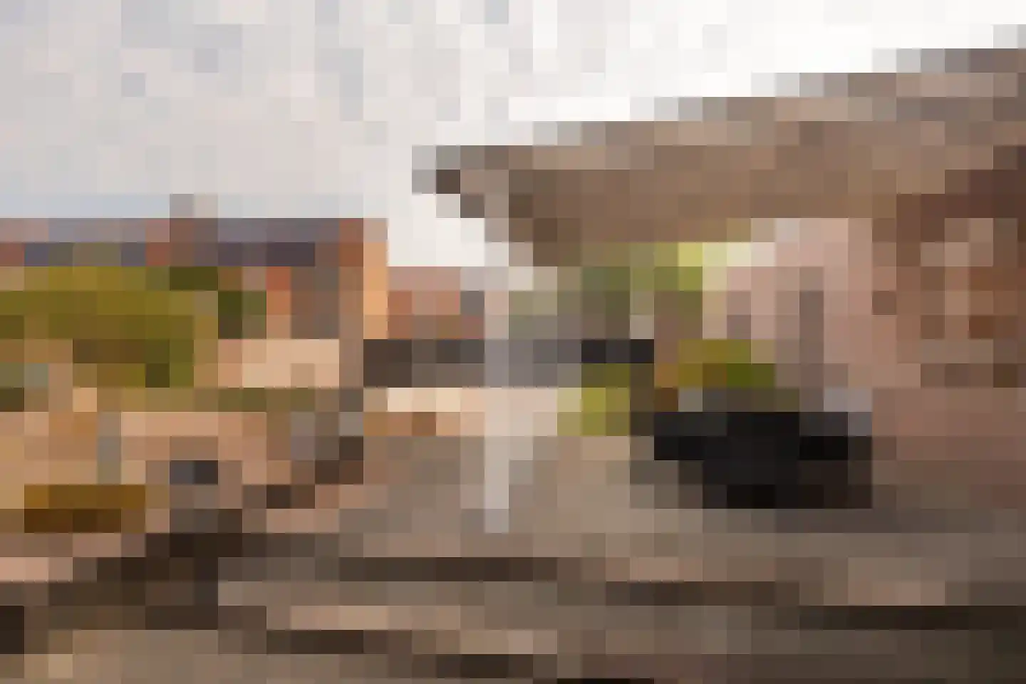 Dorpstraat 51 Buchten thumbnail 31