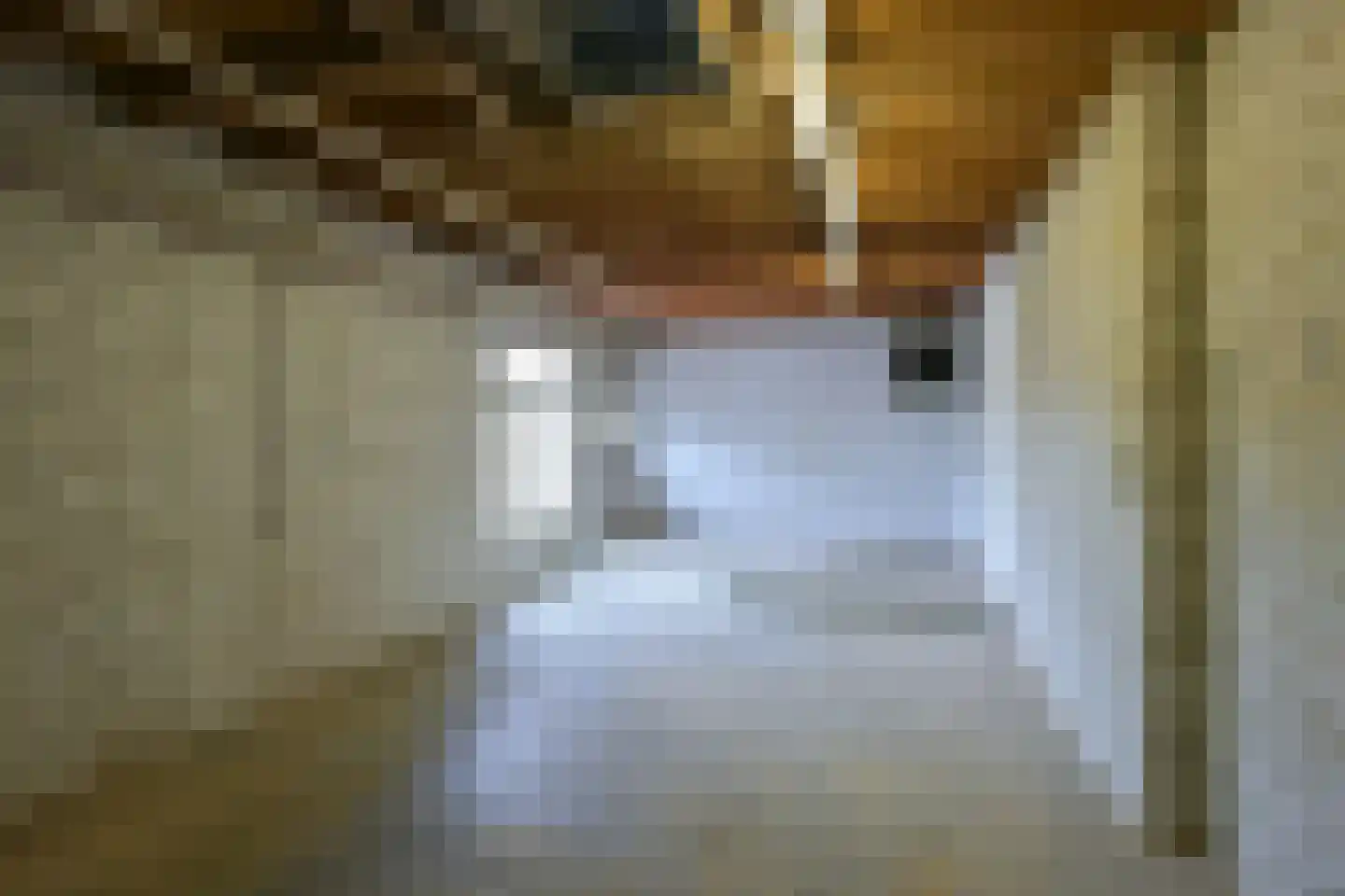 Dorpstraat 51 Buchten thumbnail 43