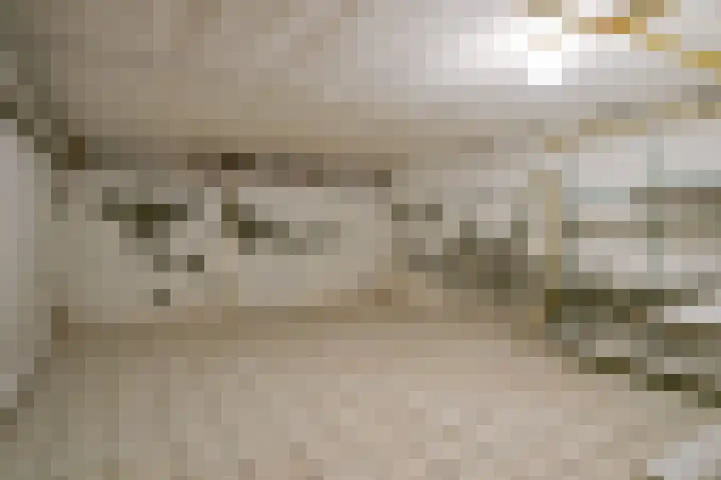 Dorpstraat 51 Buchten thumbnail 46