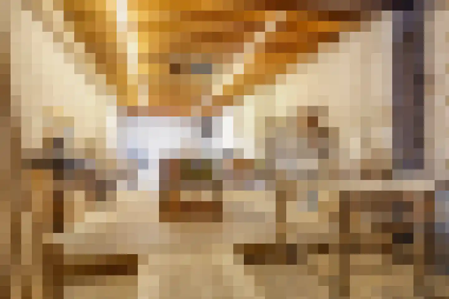 Dorpstraat 51 Buchten thumbnail 5