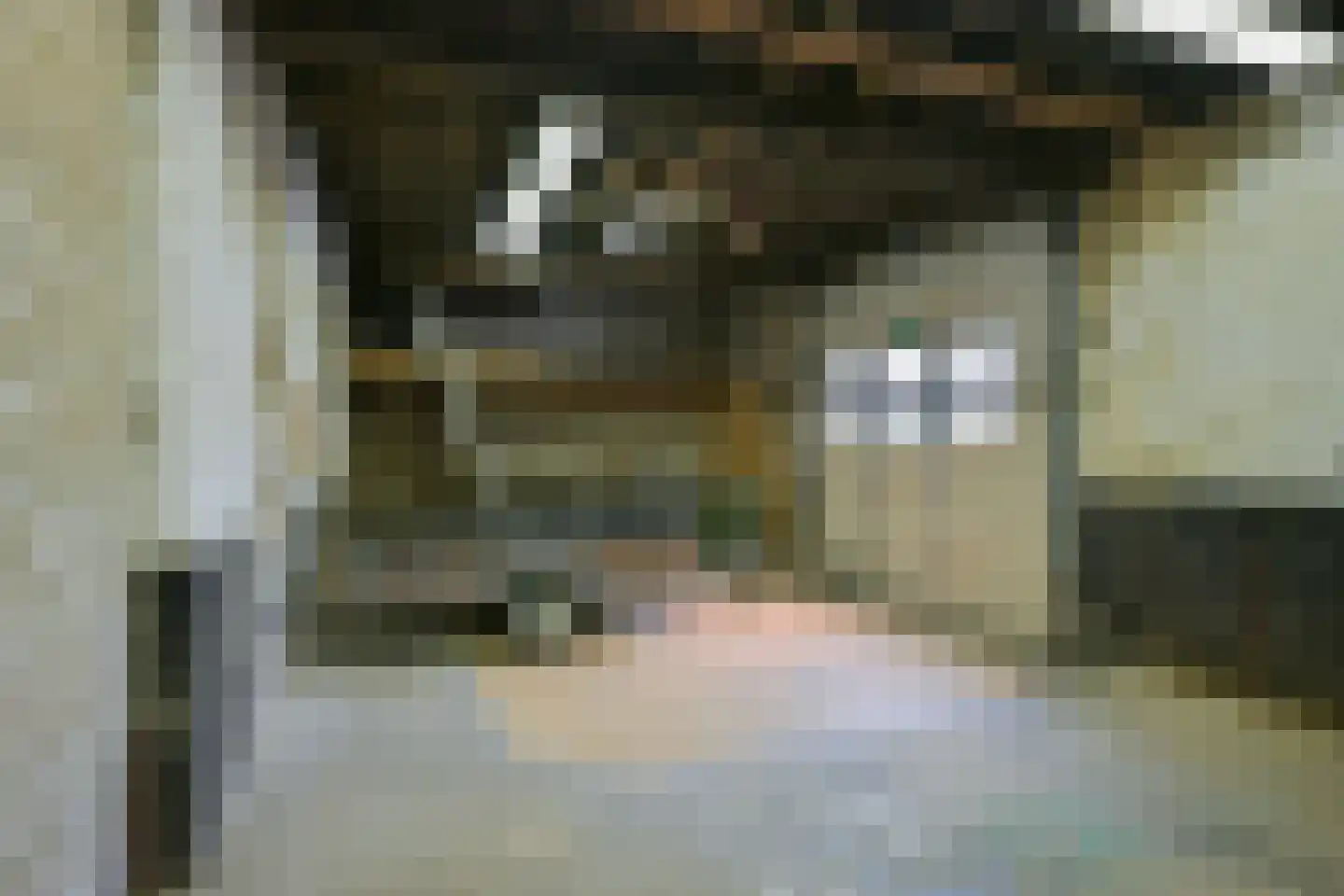 Dorpstraat 51 Buchten thumbnail 8