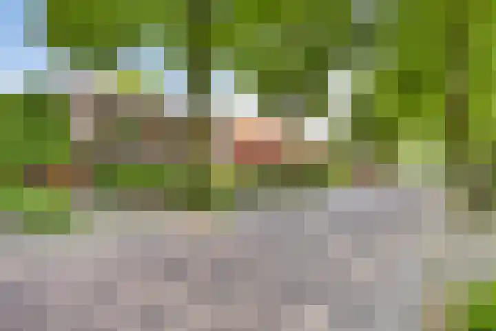 Dorpstraat 52 A Geffen thumbnail 47