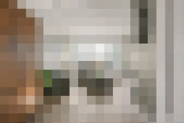 Dorpstraat 52 Nieuw-Vennep thumbnail 8