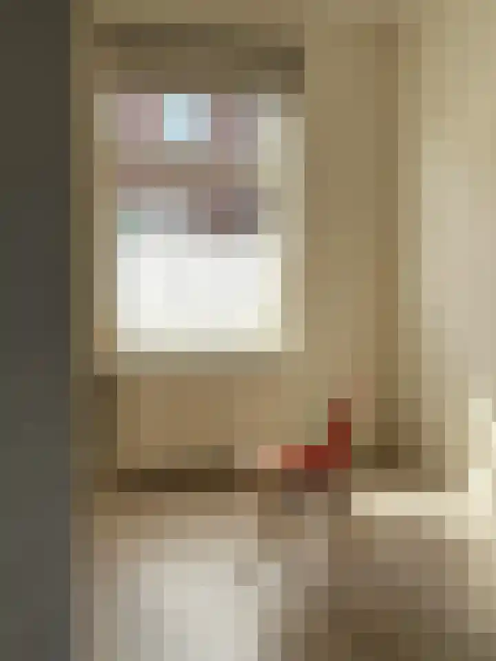 Dorpstraat 53 Horn thumbnail 4