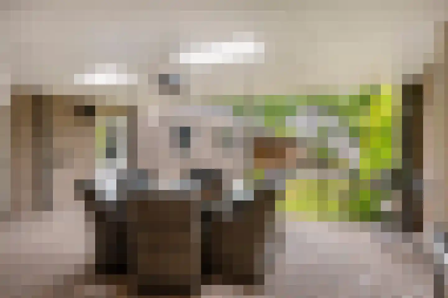 Dorpstraat 55 Geffen thumbnail 13
