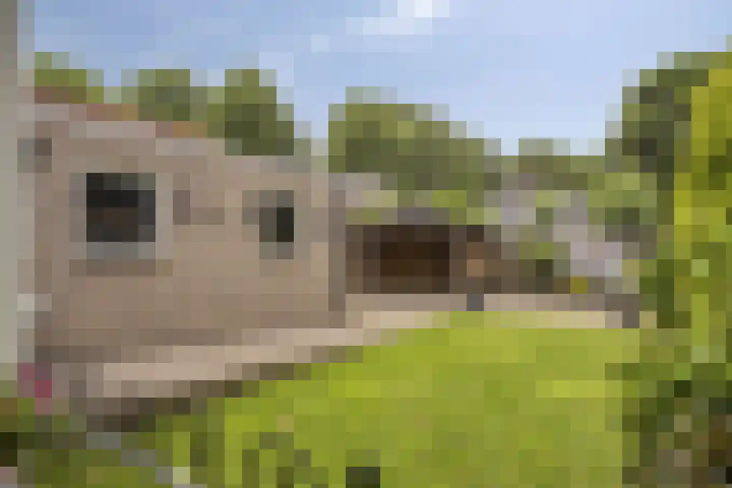 Dorpstraat 55 Geffen thumbnail 14