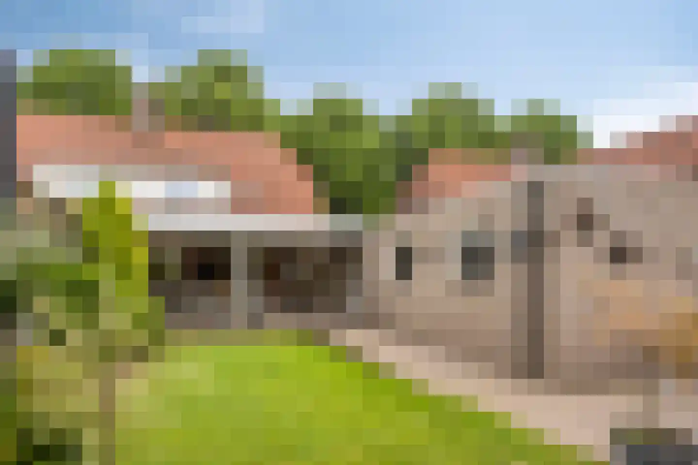 Dorpstraat 55 Geffen thumbnail 16