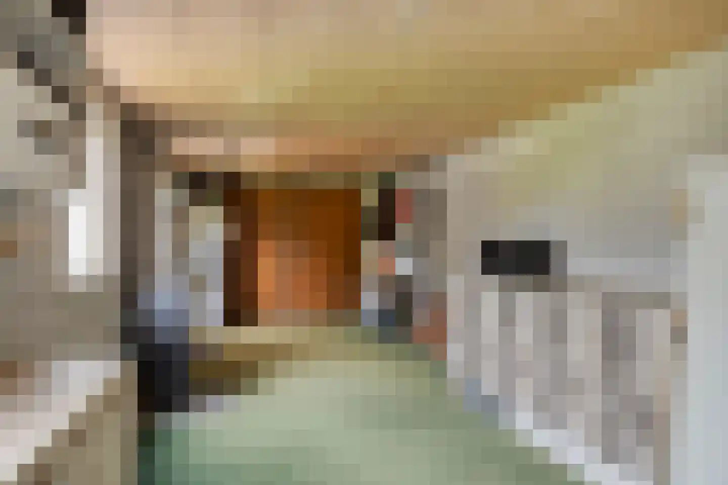 Dorpstraat 55 Geffen thumbnail 19