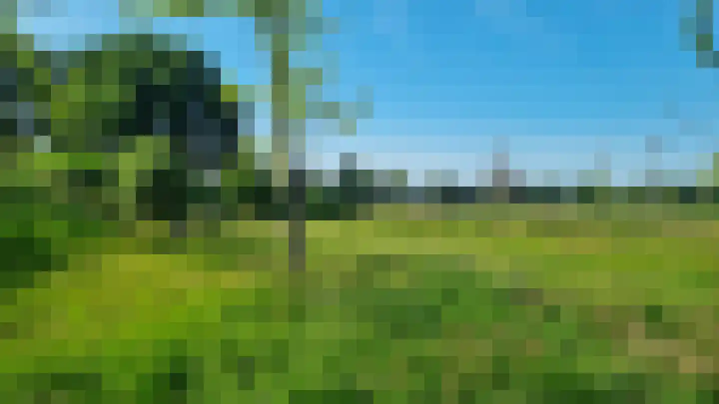 Dorpstraat 55 Geffen thumbnail 31