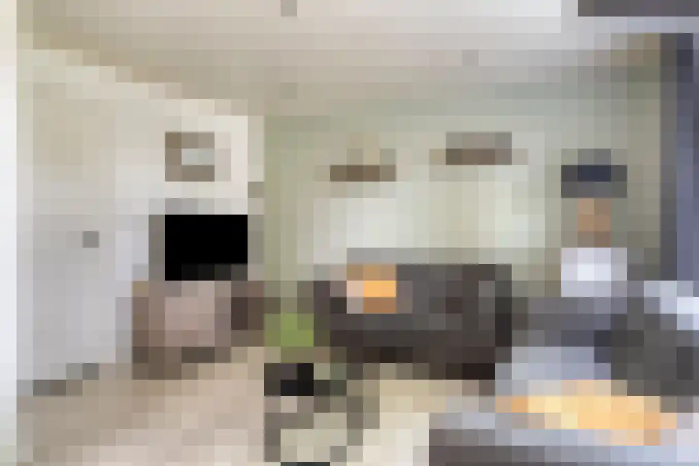 Dorpstraat 55 Geffen thumbnail 5