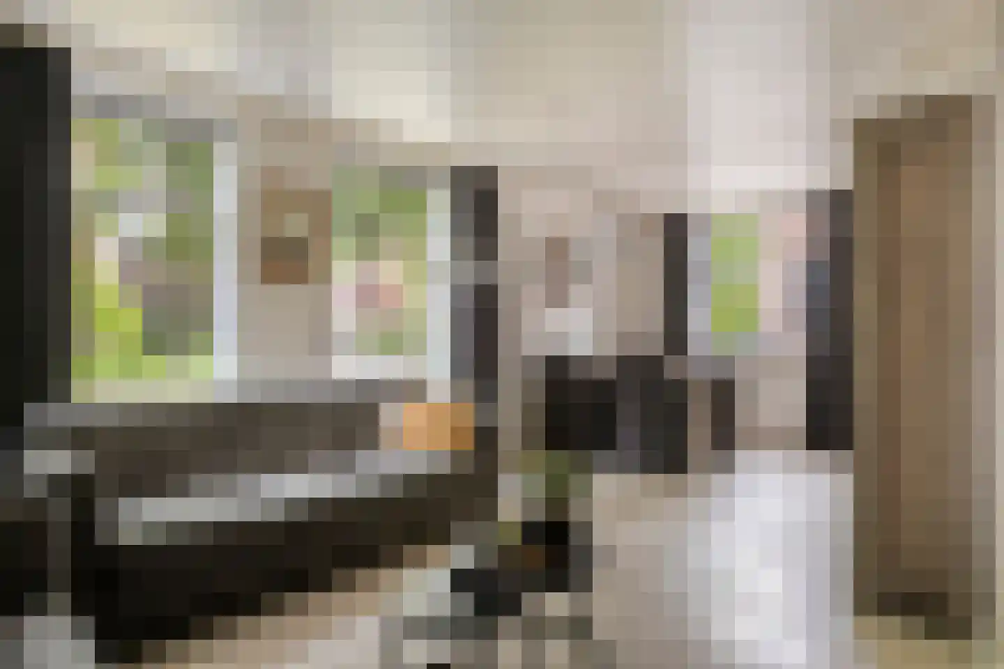 Dorpstraat 55 Geffen thumbnail 6