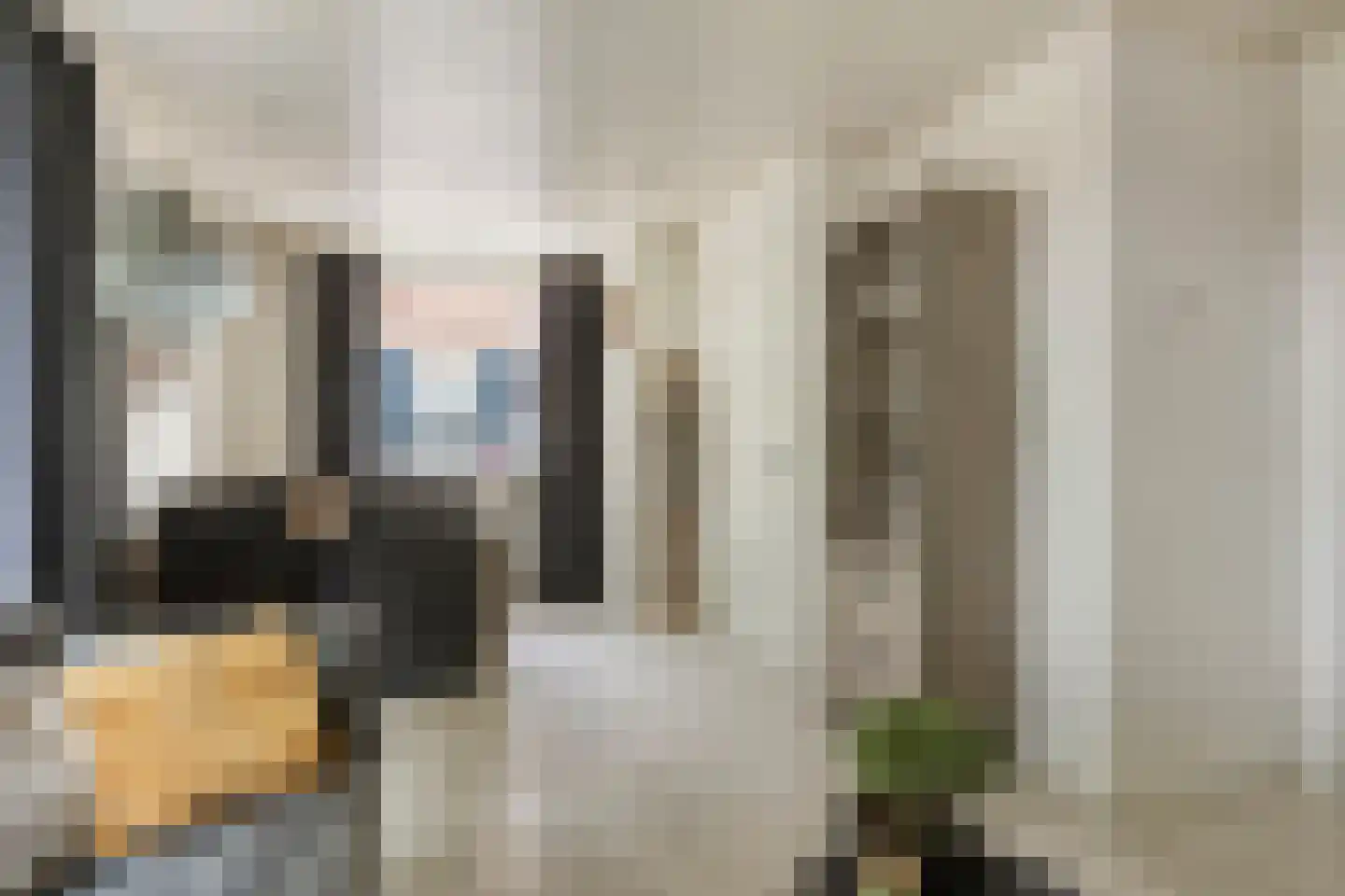Dorpstraat 55 Geffen thumbnail 7