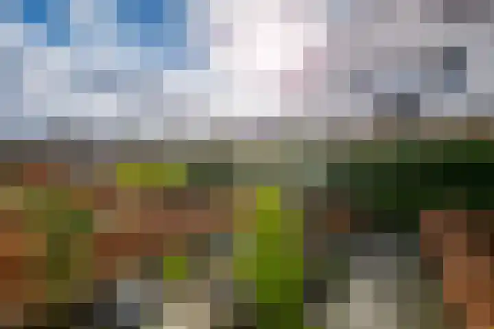Dorpstraat 55 K Beekbergen thumbnail 20