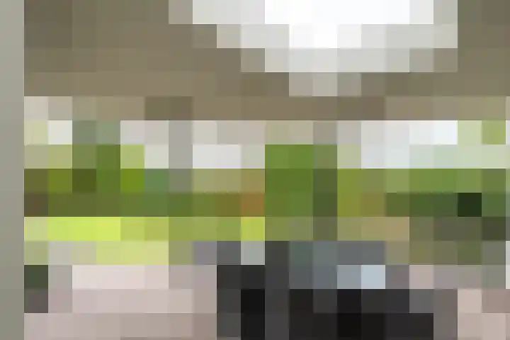 Dorpstraat 56 Veldhoven thumbnail 37