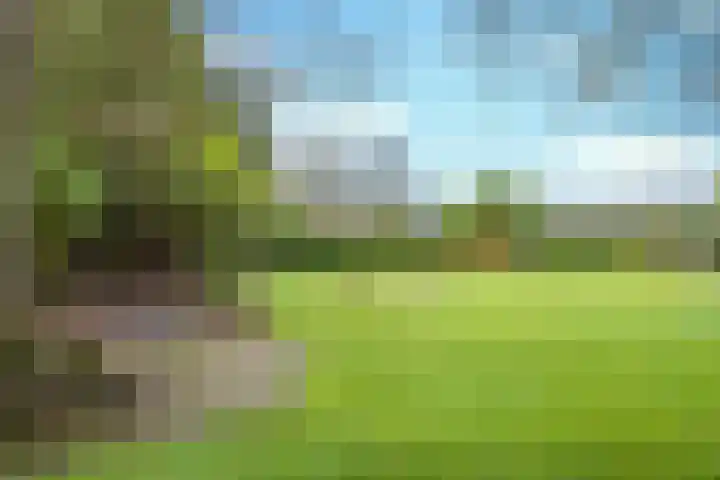 Dorpstraat 56 Veldhoven thumbnail 39