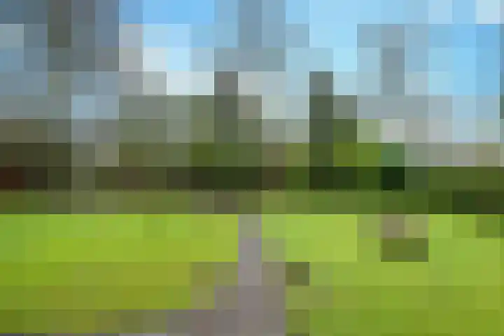 Dorpstraat 56 Veldhoven thumbnail 43