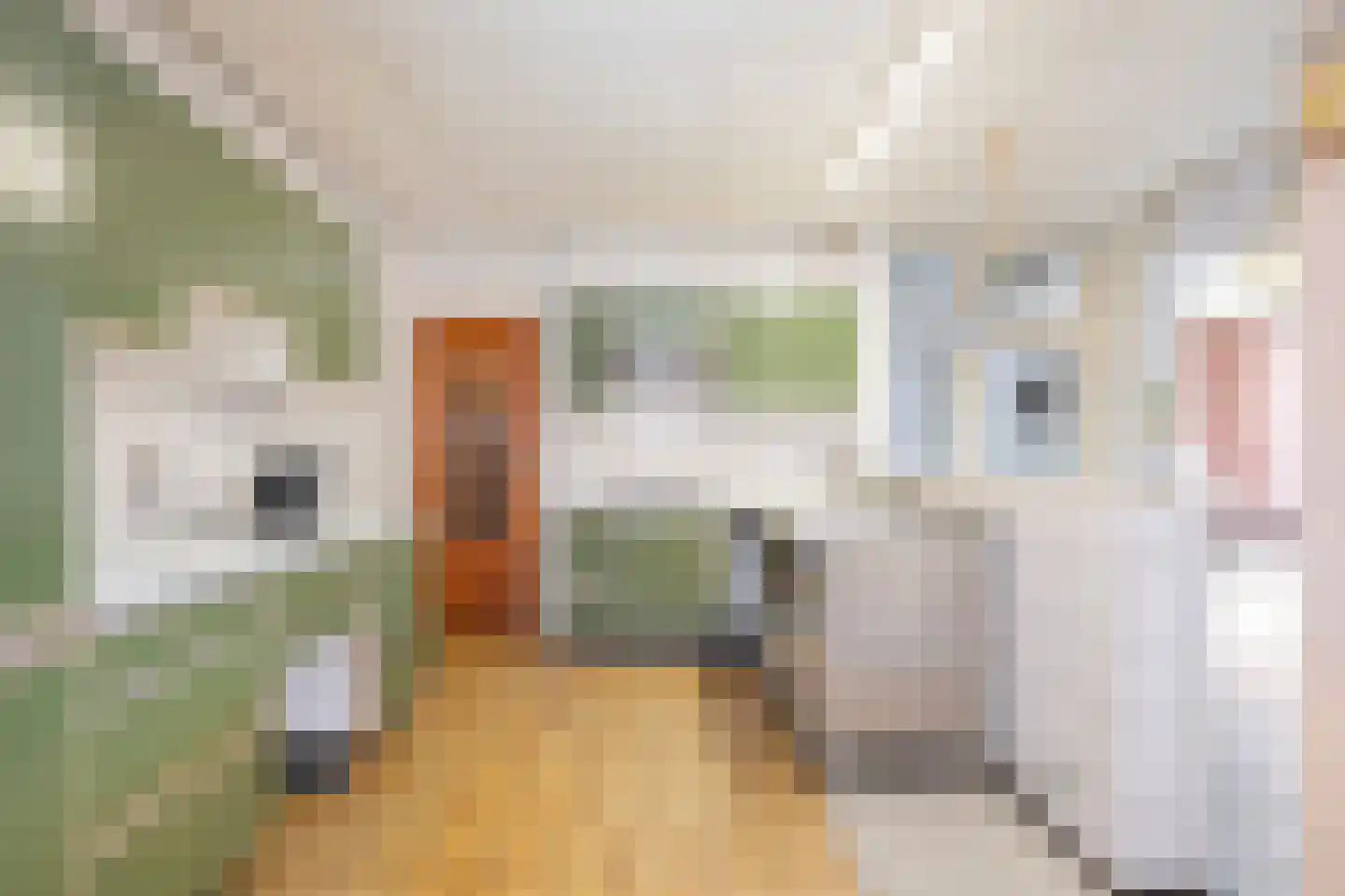 Dorpstraat 57 Buchten thumbnail 11