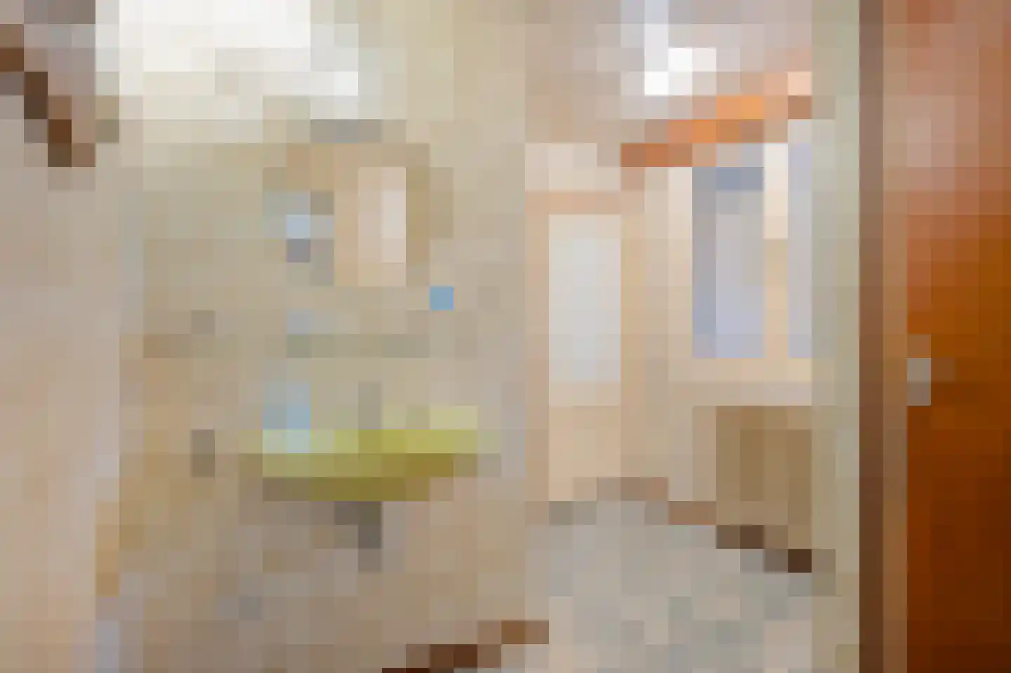 Dorpstraat 57 Buchten thumbnail 15