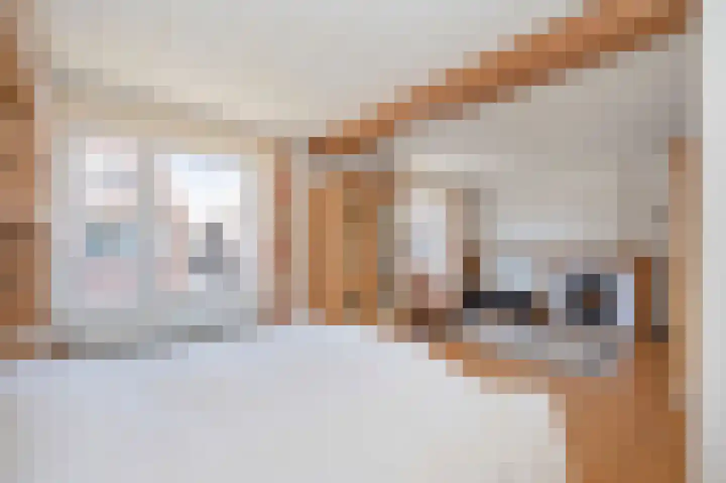 Dorpstraat 57 Buchten thumbnail 36