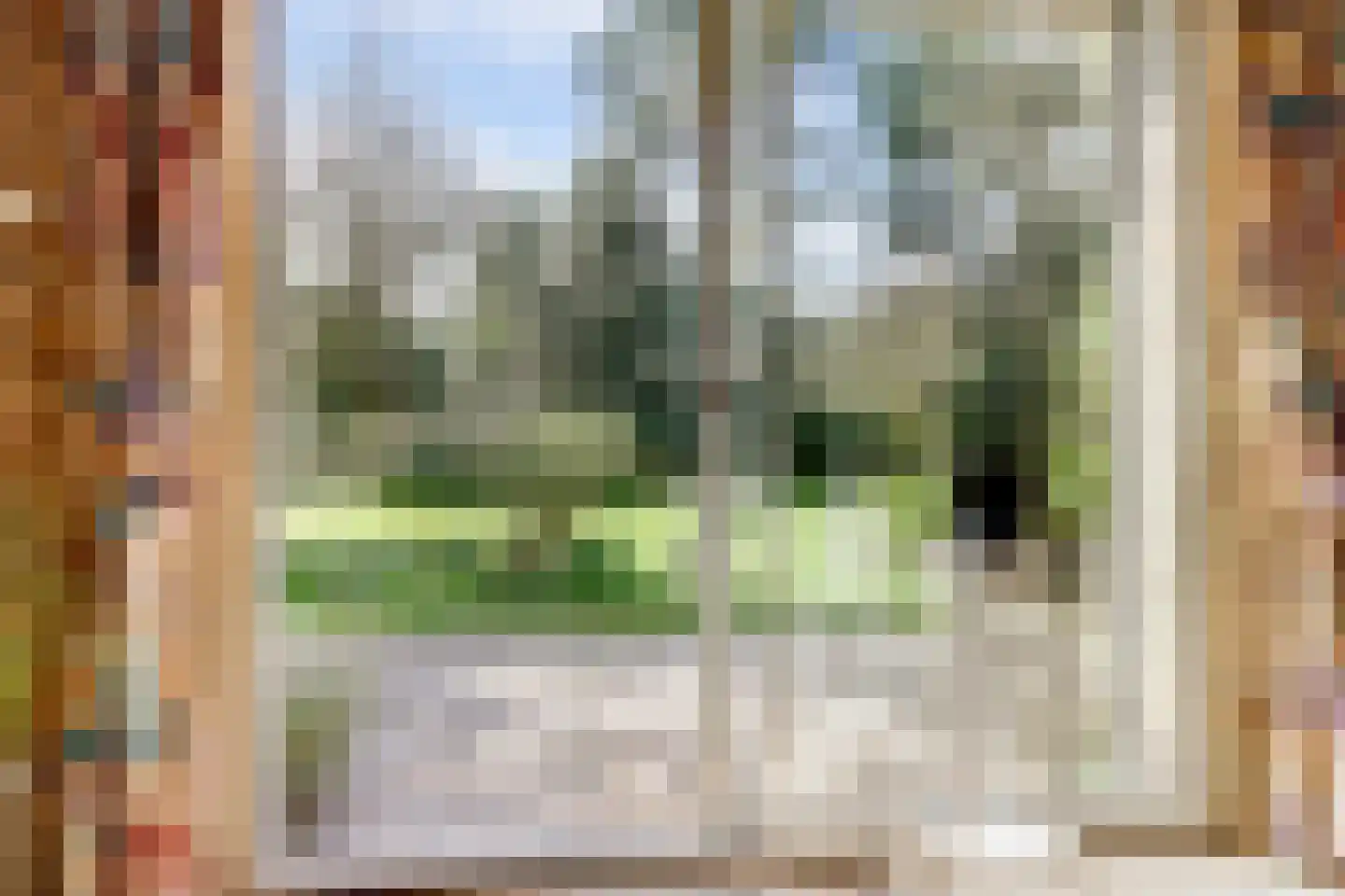 Dorpstraat 57 Buchten thumbnail 44