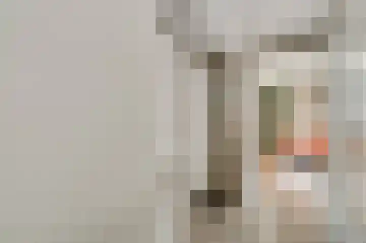 Dorpstraat 58 Echt thumbnail 12