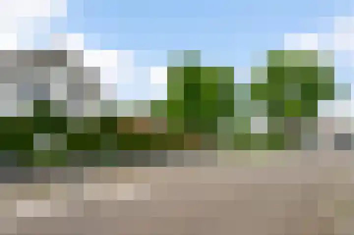 Dorpstraat 58 Echt thumbnail 35